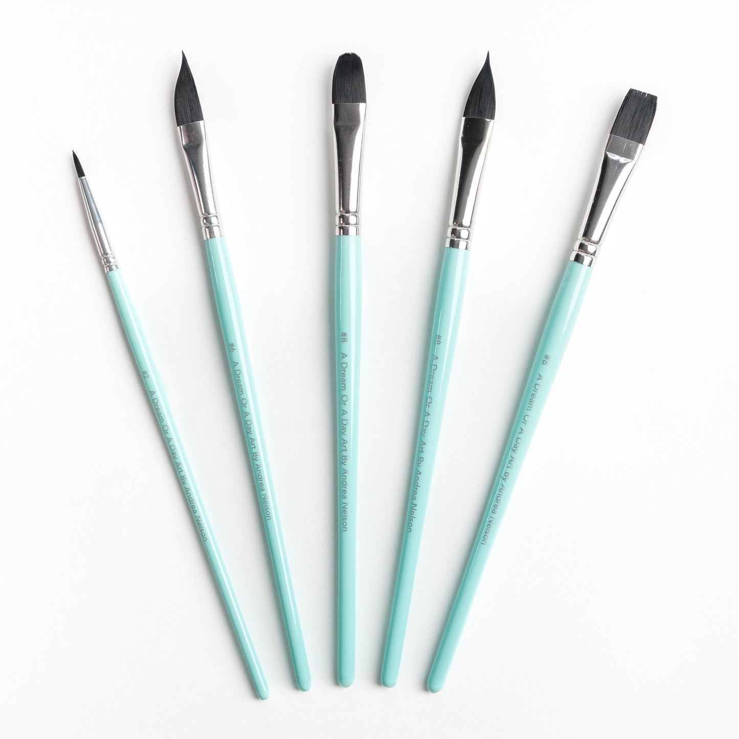 Five brushes including a Size 2 Round brush, Size 6 Dagger brush, Size 8 Filbert brush, Size 8 Cat's Tongue brush, and Size 8 flat brush