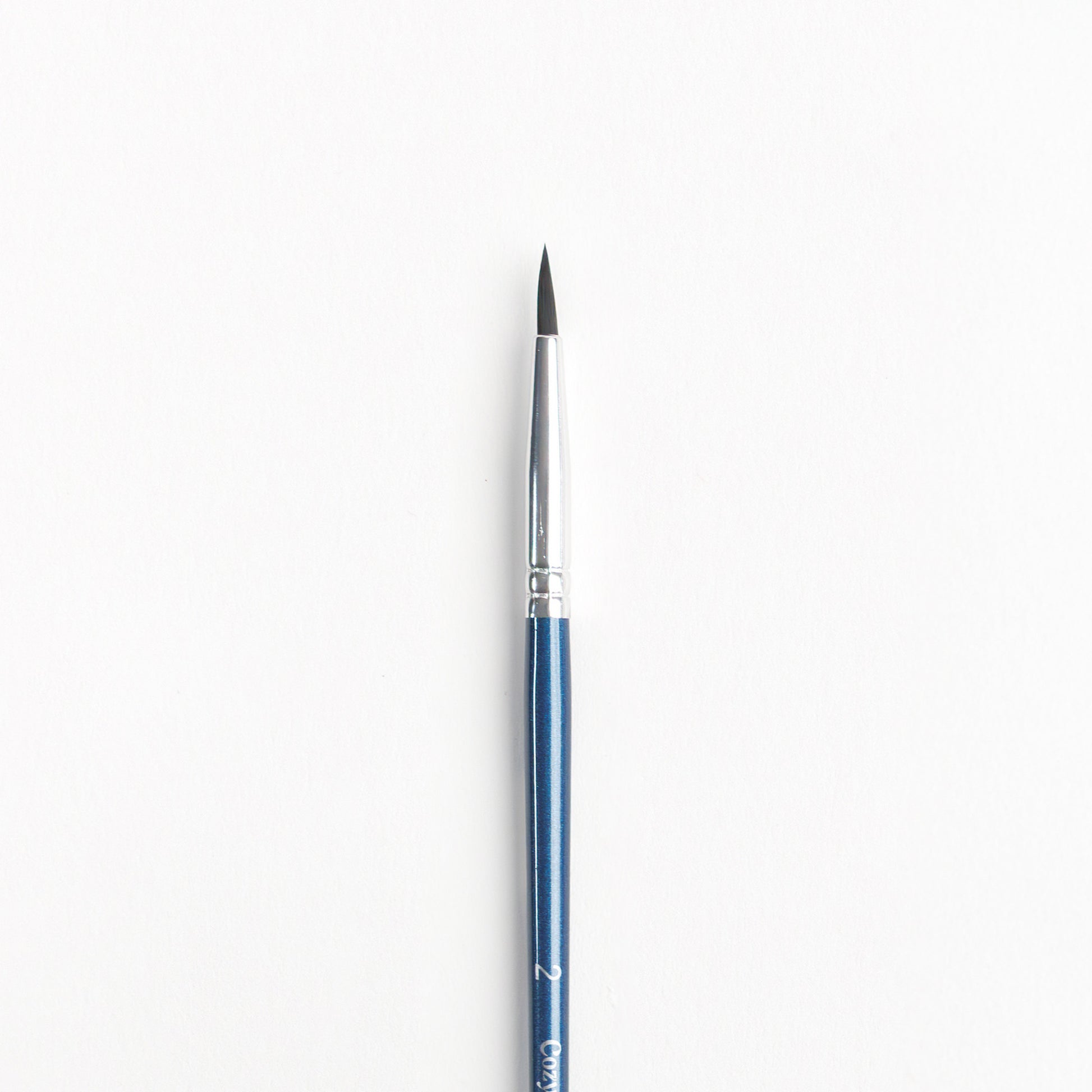 Close up of Size 2 round brush with dark bristles, silver ferrule and dark blue handle