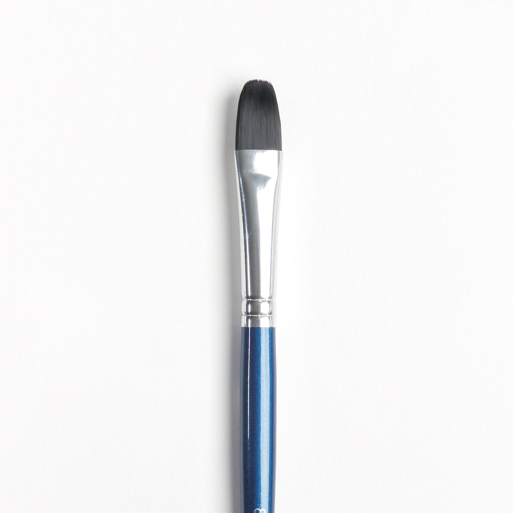 Close up of Size 8 Filbert brush with dark bristles, silver ferrule and dark blue handle