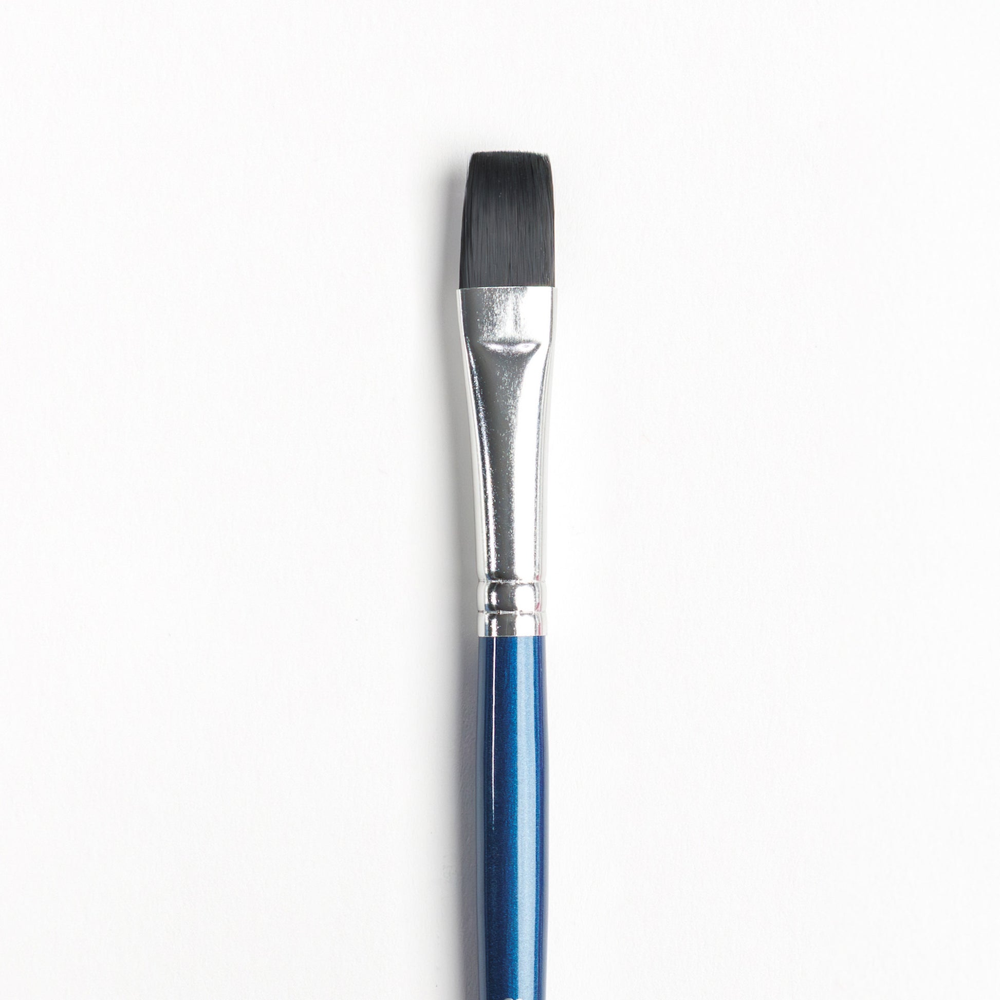 Close up of Size 8 Flat brush with dark bristles, a silver ferrule and dark blue handle