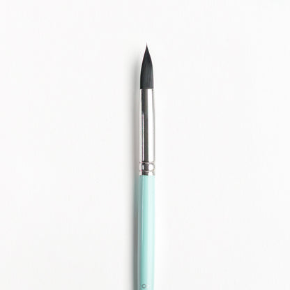 Close up of Size 8 watercolor brush with dark bristles, silver ferrule, and light turquoise handle